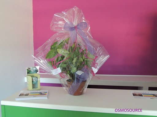 La fleuriste local a eu la belle idée d'offrir une plante pour la bienvenue de Osmosource.